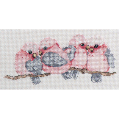 AUST COLL GALAH CS 21X30CM