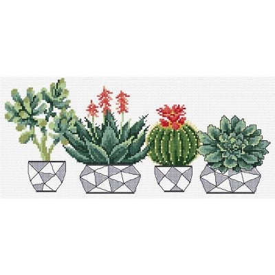 DMC SUCCULENTS CCS 32X14.5CM