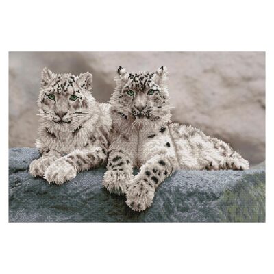 DIAMOND DOTZ SNOW LEOPARDS HEMIS NATIONAL PARK