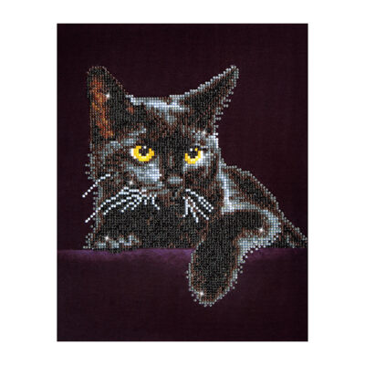 DIAMOND DOTZ MIDNIGHT CAT